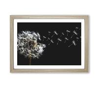 Big Box Art Dandelion Seeds Vol.10 Painting Framed Wall Art Picture Print Ready to Hang, Oak A2 (62 x 45 cm)