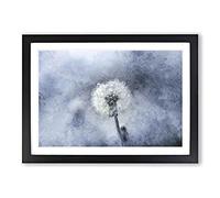 Big Box Art Dandelion Seeds Vol.11 Painting Framed Wall Art Picture Print Ready to Hang, Black A2 (62 x 45 cm)