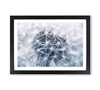 Big Box Art Dandelion Seeds Vol.12 Painting Framed Wall Art Picture Print Ready to Hang, Black A2 (62 x 45 cm)