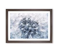 Big Box Art Dandelion Seeds Vol.12 Painting Framed Wall Art Picture Print Ready to Hang, Walnut A2 (62 x 45 cm)