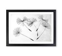 Big Box Art Dandelion Seeds Vol.2 Painting Framed Wall Art Picture Print Ready to Hang, Black A2 (62 x 45 cm)