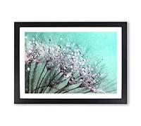 Big Box Art Dandelion Seeds Vol.6 Painting Framed Wall Art Picture Print Ready to Hang, Black A2 (62 x 45 cm)