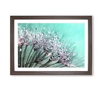 Big Box Art Dandelion Seeds Vol.6 Painting Framed Wall Art Picture Print Ready to Hang, Walnut A2 (62 x 45 cm)