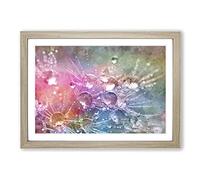Big Box Art Dandelion Seeds Vol.7 Painting Framed Wall Art Picture Print Ready to Hang, Oak A2 (62 x 45 cm)