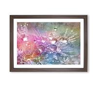 Big Box Art Dandelion Seeds Vol.7 Painting Framed Wall Art Picture Print Ready to Hang, Walnut A2 (62 x 45 cm)