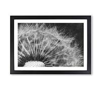 Big Box Art Dandelion Seeds Vol.8 Painting Framed Wall Art Picture Print Ready to Hang, Black A2 (62 x 45 cm)
