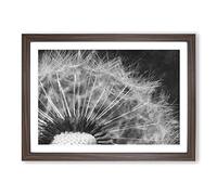 Big Box Art Dandelion Seeds Vol.8 Painting Framed Wall Art Picture Print Ready to Hang, Walnut A2 (62 x 45 cm)
