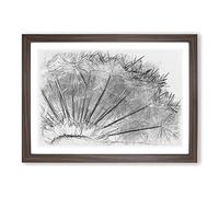 Big Box Art Dandelion Seeds Vol.8 Sketch Framed Wall Art Picture Print Ready to Hang, Walnut A2 (62 x 45 cm)