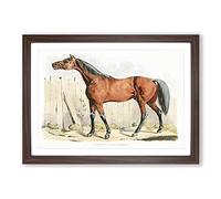 Big Box Art Dark-Brown Horse by Henry Alken Framed Wall Art Picture Print Ready to Hang, Walnut A2 (62 x 45 cm)