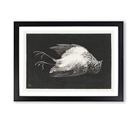 Big Box Art Dead Robin by Theo Van Hoytema Framed Wall Art Picture Print Ready to Hang, Black A2 (62 x 45 cm)