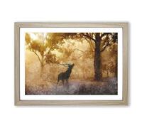 Big Box Art Deer Stag in an Autumn Forest Painting Framed Wall Art Picture Print Ready to Hang, Oak A2 (62 x 45 cm)