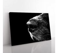 Big Box Art Dog Nose Snout Canvas Wall Art Print Ready to Hang Picture, 76 x 50 cm (30 x 20 Inch), Multi-Coloured