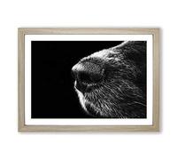 Big Box Art Dog Nose Snout Framed Wall Art Picture Print Ready to Hang, Oak A2 (62 x 45 cm)