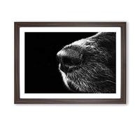 Big Box Art Dog Nose Snout Framed Wall Art Picture Print Ready to Hang, Walnut A2 (62 x 45 cm)