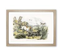 Big Box Art Dogs Chasing Ducks by Henry Alken Framed Wall Art Picture Print Ready to Hang, Oak A2 (62 x 45 cm)