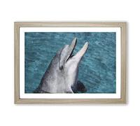 Big Box Art Dolphin Painting Framed Wall Art Picture Print Ready to Hang, Oak A2 (62 x 45 cm)