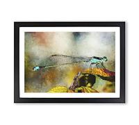 Big Box Art Dragonfly Vol.3 Painting Framed Wall Art Picture Print Ready to Hang, Black A2 (62 x 45 cm)