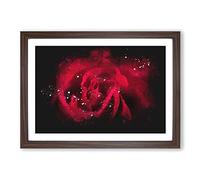 Big Box Art Drops Upon a Red Rose Paint Splash Framed Wall Art Picture Print Ready to Hang, Walnut A2 (62 x 45 cm)