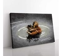 Big Box Art Duck Preening its Feathers in Abstract Canvas Wall Art Print Ready to Hang Picture, 76 x 50 cm (30 x 20 Inch), Grey, Black, Grey, Brown