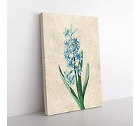 Big Box Art Dutch Hyacinth Flowers by Pierre-Joseph Redoute Canvas Wall Art Print Ready to Hang Picture, 76 x 50 cm (30 x 20 Inch), Beige, Green, Blue, Green