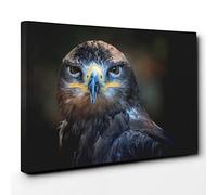 Big Box Art Eagle Bird (2) Canvas Wall Art Print Ready to Hang Picture, 30 x 20 Inch (76 x 50 cm), Multi-Coloured
