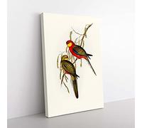 Big Box Art Earl of Derby's Parakeets by Elizabeth Gould Canvas Wall Art Print Ready to Hang Picture, 76 x 50 cm (30 x 20 Inch), White, Green, Cream