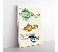 Big Box Art East Indies Fish Illustrations LIV by Louis Renard Canvas Wall Art Print Ready to Hang Picture, 76 x 50 cm (30 x 20 Inch), White, Beige, Green, Yellow, Cream