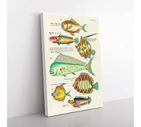 Big Box Art East Indies Fish Illustrations XVI by Louis Renard Canvas Wall Art Print Ready to Hang Picture, 76 x 50 cm (30 x 20 Inch), White, Green, Cream, Yellow, Green