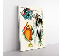 Big Box Art East Indies Fish Illustrations XXXI by Louis Renard Canvas Wall Art Print Ready to Hang Picture, 76 x 50 cm (30 x 20 Inch), White, Green, Grey, Black, Brown