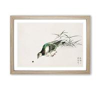 Big Box Art Eastern Turtle Dove by Numata Kashu Framed Wall Art Picture Print Ready to Hang, Oak A2 (62 x 45 cm)