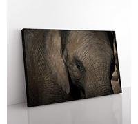 Big Box Art Elephant Close Up Canvas Wall Art Print Ready to Hang Picture, 76 x 50 cm (30 x 20 Inch), Multi-Coloured