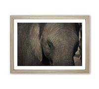 Big Box Art Elephant Close Up Framed Wall Art Picture Print Ready to Hang, Oak A2 (62 x 45 cm)