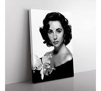 Big Box Art Elizabeth Taylor (1) Canvas Wall Art Print Ready to Hang Picture, 76 x 50 cm (30 x 20 Inch), Multi-Coloured