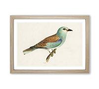 Big Box Art European Roller Bird by Von Wright Framed Wall Art Picture Print Ready to Hang, Oak A2 (62 x 45 cm)