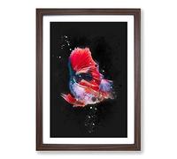 Big Box Art Eye-Catching Red & Blue Fish Paint Splash Framed Wall Art Picture Print Ready to Hang, Walnut A2 (62 x 45 cm)