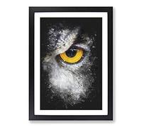 Big Box Art Eye of an Owl Paint Splash Framed Wall Art Picture Print Ready to Hang, Black A2 (62 x 45 cm)