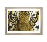 Big Box Art Eye of The Tiger Painting Framed Wall Art Picture Print Ready to Hang, Oak A2 (62 x 45 cm)