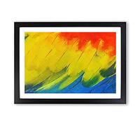 Big Box Art Feathers of The Parrot in Abstract Framed Wall Art Picture Print Ready to Hang, Black A2 (62 x 45 cm)