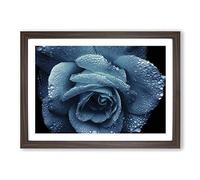 Big Box Art Flower Blue Rose (1) Framed Wall Art Picture Print Ready to Hang, Walnut A2 (62 x 45 cm)