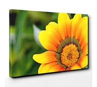 Big Box Art Flower Bright Yellow Canvas Wall Art Print Ready to Hang Picture, 30 x 20 Inch (76 x 50 cm), Multi-Coloured