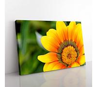 Big Box Art Flower Bright Yellow Canvas Wall Art Print Ready to Hang Picture, 76 x 50 cm (30 x 20 Inch), Multi-Coloured