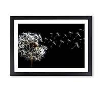 Big Box Art Flower Dandelion Seeds (3) Framed Wall Art Picture Print Ready to Hang, Oak A2 (62 x 45 cm)