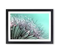 Big Box Art Flower Dandelion Seeds (5) Framed Wall Art Picture Print Ready to Hang, Oak A2 (62 x 45 cm)