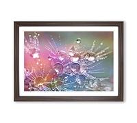 Big Box Art Flower Drops of Water on Dandelion Seeds Framed Wall Art Picture Print Ready to Hang, Walnut A2 (62 x 45 cm)