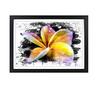 Big Box Art Flower Frangipani V3 Framed Wall Art Picture Print Ready to Hang, Black A2 (62 x 45 cm)