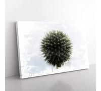 Big Box Art Flower Globe Thistle (3) V3 Canvas Wall Art Print Ready to Hang Picture, 76 x 50 cm (30 x 20 Inch), Multi-Coloured