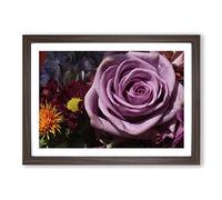 Big Box Art Flower Purple Rose (1) Framed Wall Art Picture Print Ready to Hang, Walnut A2 (62 x 45 cm)