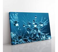 Big Box Art Flower Water on Dandelion Seeds Canvas Wall Art Print Ready to Hang Picture, 76 x 50 cm (30 x 20 Inch), Multi-Coloured