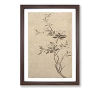 Big Box Art Flowering Crab Apple Tree by Shen Zhou Framed Wall Art Picture Print Ready to Hang, Walnut A2 (62 x 45 cm)