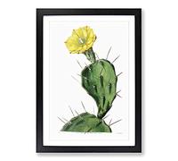 Big Box Art Flowering Prickly Pear Cactus Framed Wall Art Picture Print Ready to Hang, Black A2 (62 x 45 cm)